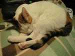 2012_0210_1823.jpg