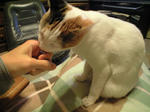 2012_0210_1851.jpg