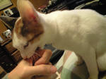 2012_0210_1852.jpg