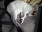 2012_0211_1427.jpg