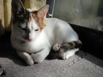 2012_0211_1430.jpg