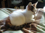 2012_0211_1610.jpg