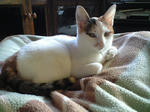 2012_0211_1611.jpg