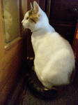 2012_0217_0756.jpg
