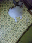 2012_0217_0800.jpg