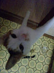 2012_0217_0801.jpg