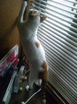 2012_0217_0815_2.jpg