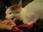 2012_0218_0619.jpg