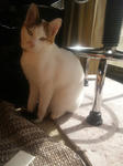 2012_0219_1131.jpg