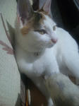 2012_0219_1135.jpg