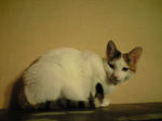 2012_0217_2217.jpg