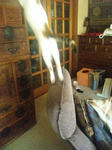 2012_0219_1145_2.jpg