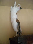 2012_0219_1146.jpg