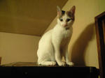 2012_0409_2358.jpg