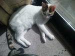 2012_0219_1152.jpg