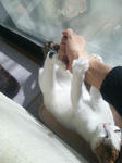 2012_0219_1302_1.jpg