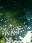 d8f00124.jpg