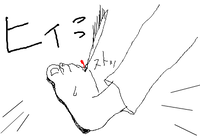 fimg_1235223406.png