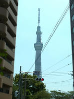 2928c5f6.jpg