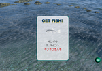 ギンボウ釣り上げました
