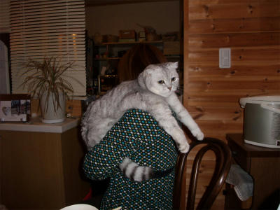 2011_01190025.jpg