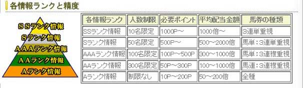 プロフェッショナル競馬のランク分け