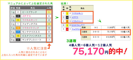 競馬スピリッツのマニュアルについて