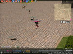 mabinogi_2009_07_06_006.jpg