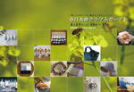 20110324_908886.jpg