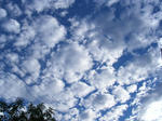 f313226e.JPG