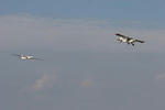 IMG_4045s.jpg