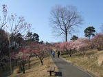 DSCF1201s.JPG