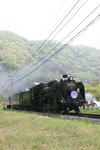 IMG_4235s.JPG