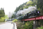 IMG_4248s.JPG