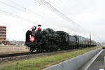 IMG_4584s.JPG