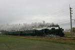 IMG_5094s.jpg