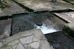 IMG_5398s.jpg