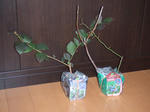 DSCF2029s.jpg
