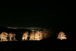 IMG_2564s.jpg