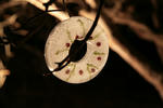 IMG_2664s.jpg
