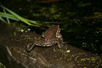IMG_2839_S.JPG