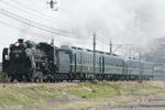 IMG_2959_t_S.jpg