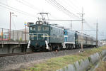 IMG_3387_S.JPG