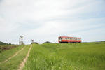 IMG_3474_S.JPG