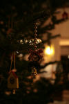 IMG_4541_S.JPG