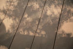 IMG_6188_S.JPG