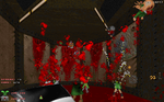 dr_vst1.png