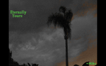 ETRNYOUR1.png