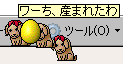 1115-3.png