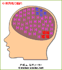 中澤真帆の脳内